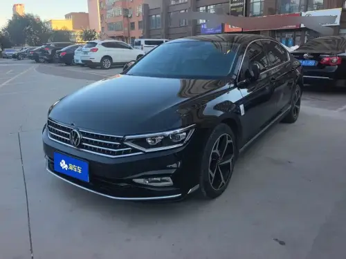 Volkswagen Magotan, 2024