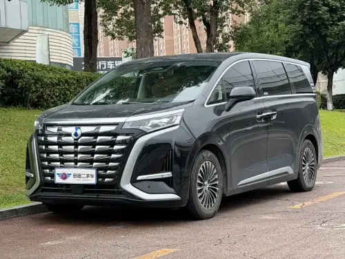 Denza D9, 2024