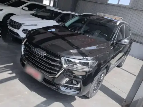 Haval H6, 2022