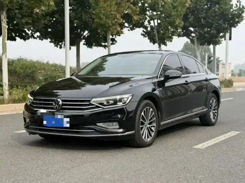 Volkswagen Magotan, 2021