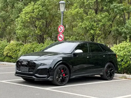 Audi RSQ8, 2024