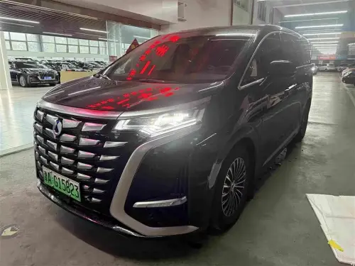 Denza D9, 2024