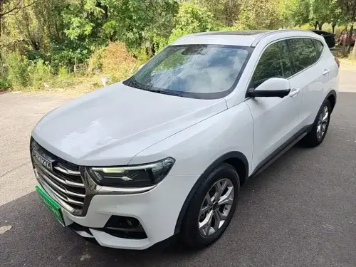 Haval H6, 2021