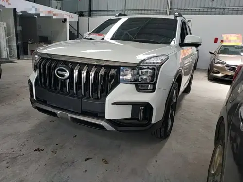 GAC GS8, 2020
