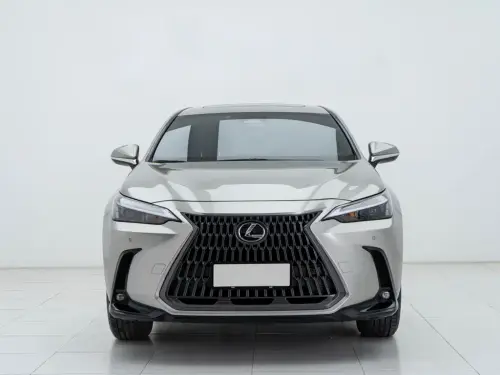 Lexus NX, 2022