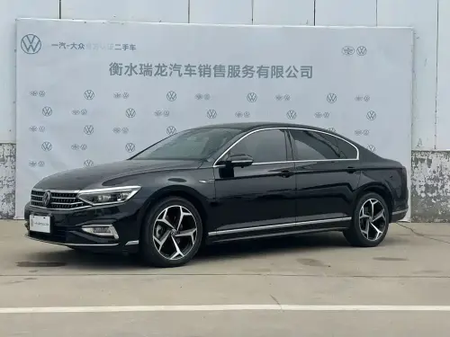Volkswagen Magotan, 2024