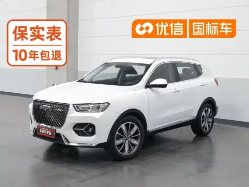 Haval H6, 2020