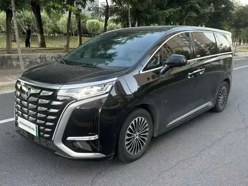 Denza D9, 2023