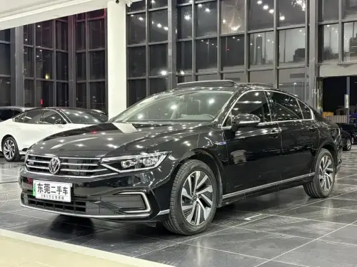 Volkswagen Magotan, 2021