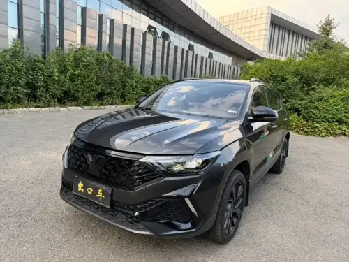 Jetta VS5, 2024
