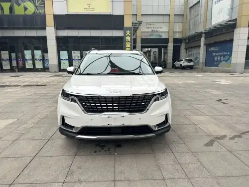 Kia Carnival, 2021