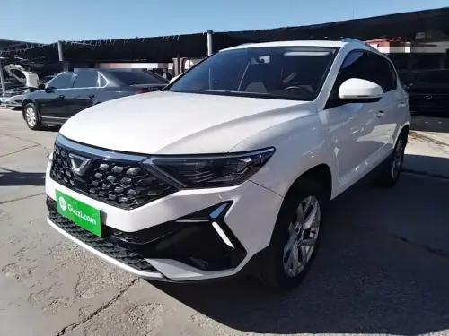 Jetta VS5, 2023