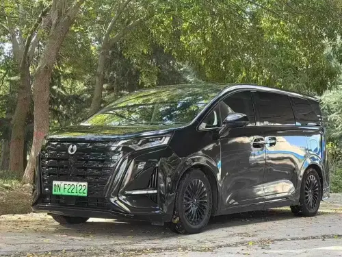 Denza D9, 2023