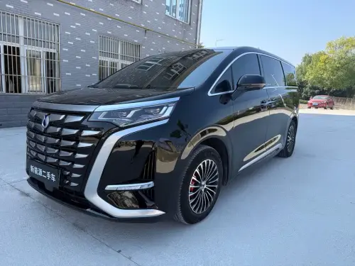 Denza D9, 2024