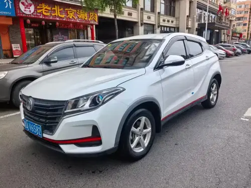 Dongfeng Fengguang 500, 2021
