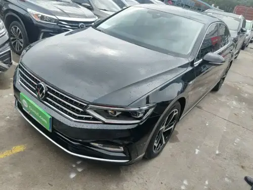Volkswagen Magotan, 2024