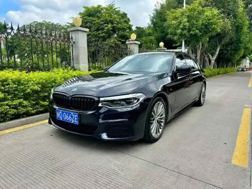 BMW 5-Series, 2020