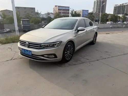 Volkswagen Magotan, 2020
