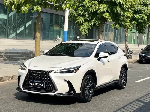 Lexus NX, 2022