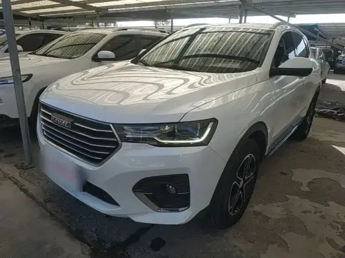 Haval H4, 2020
