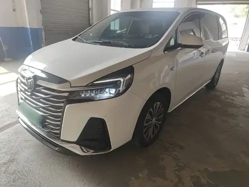 Buick GL8, 2024