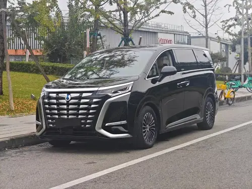 Denza D9, 2024