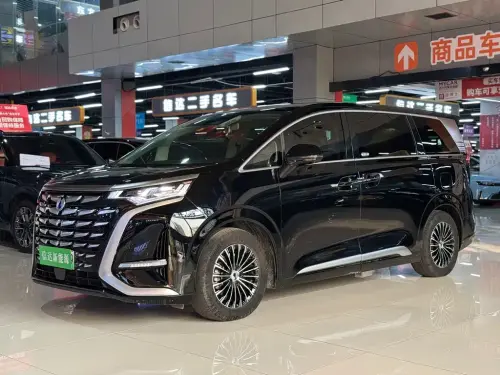 Denza D9, 2024