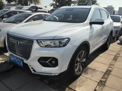 Haval H6, 2020