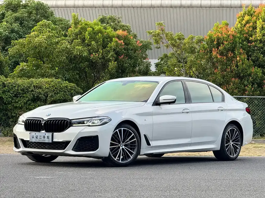 BMW 宝马5系, 2020