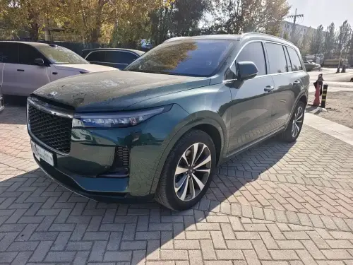 Li Auto ONE, 2021