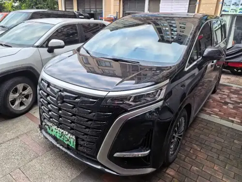 Denza D9, 2023