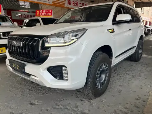 Haval H9, 2022