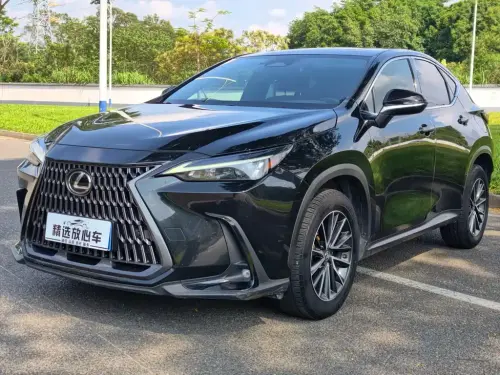 Lexus NX, 2022
