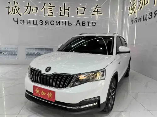 Skoda Kamiq, 2024