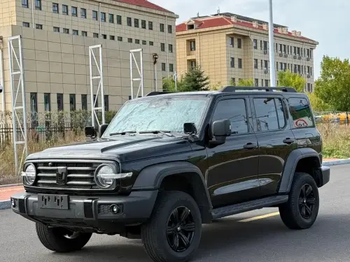 Tank 300, 2021