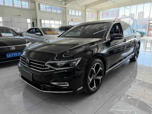 Volkswagen Magotan, 2024