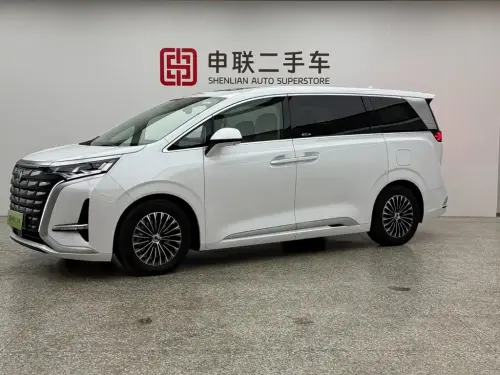 Denza D9, 2024