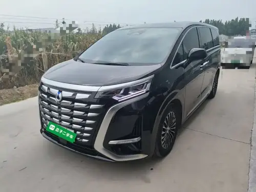 Denza D9, 2024