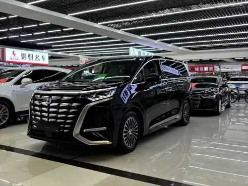 Denza D9, 2023
