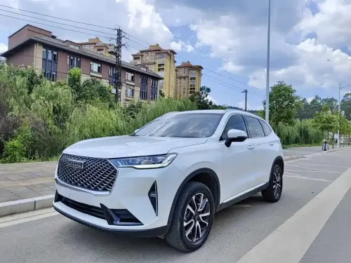 Haval H6, 2020