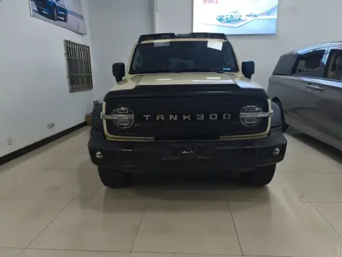 Tank 300, 2021