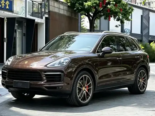 Porsche Cayenne, 2020
