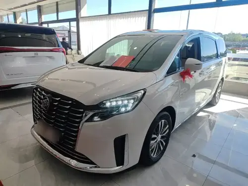Buick GL8, 2024
