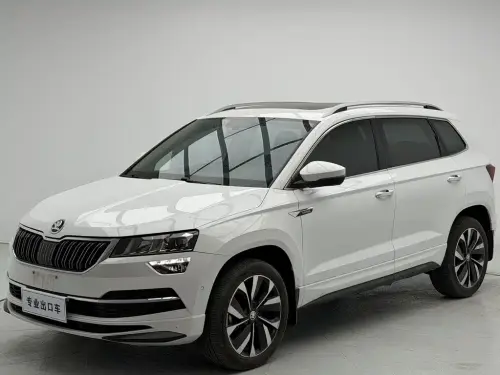 Skoda Karoq, 2024