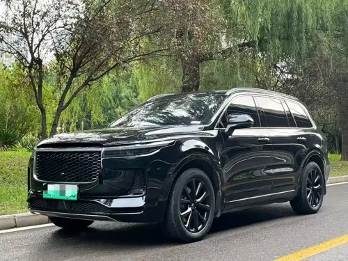 Li Auto ONE, 2021