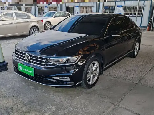 Volkswagen Magotan, 2024