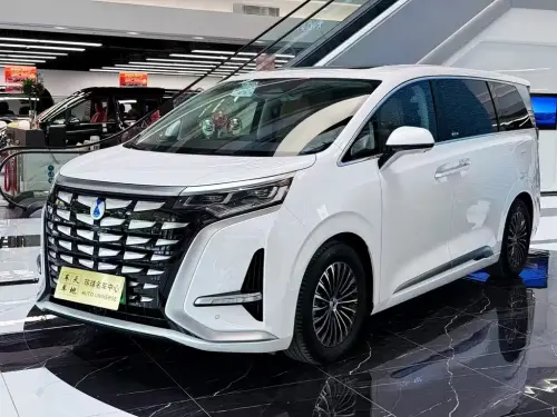 Denza D9, 2024