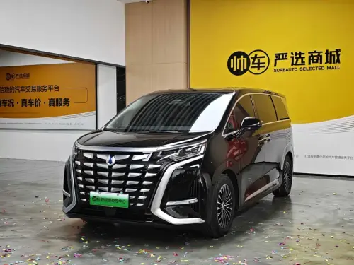 Denza D9, 2025