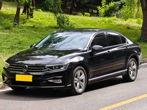 Volkswagen Magotan, 2024