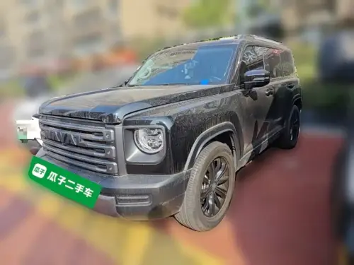 Haval Menglong, 2025